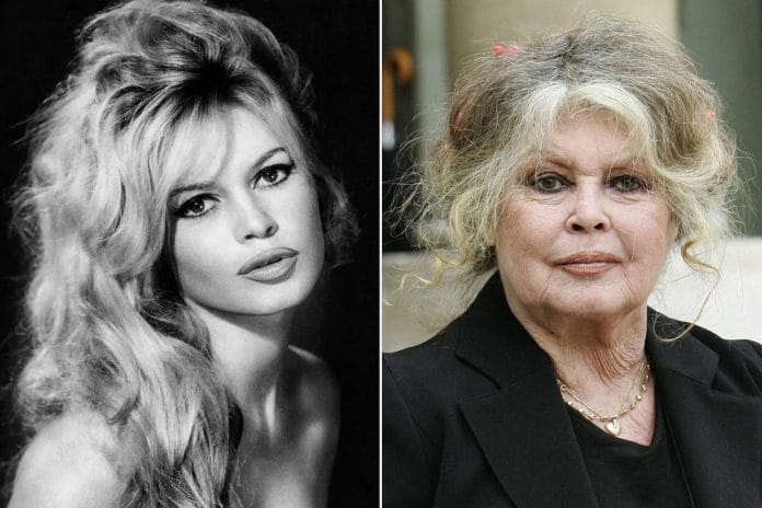 brigitte-bardot-101725-1-0524c0d7e05145a6ad00ef5df7eba329