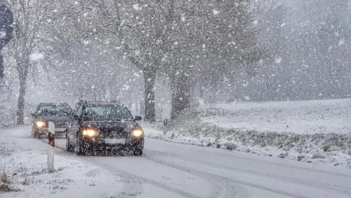 ninsori prognoza meteo