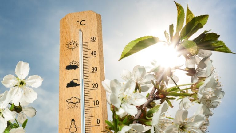 Prognoza meteo