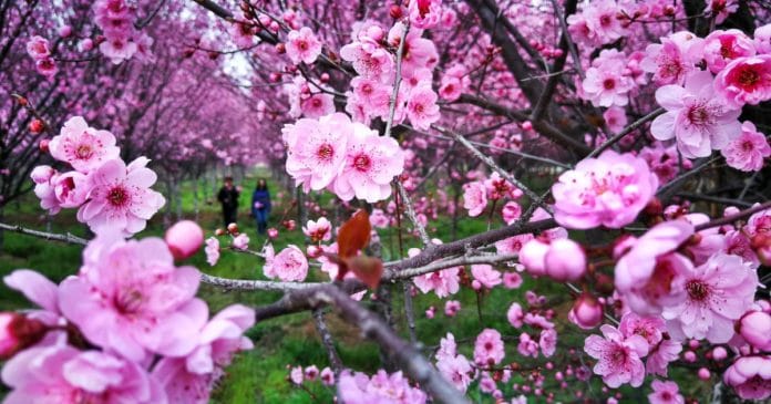Prognoza meteo, 25 aprilie. Vremea se încălzește în prima zi de weekend. Temperaturi de până la 23 de grade în țară