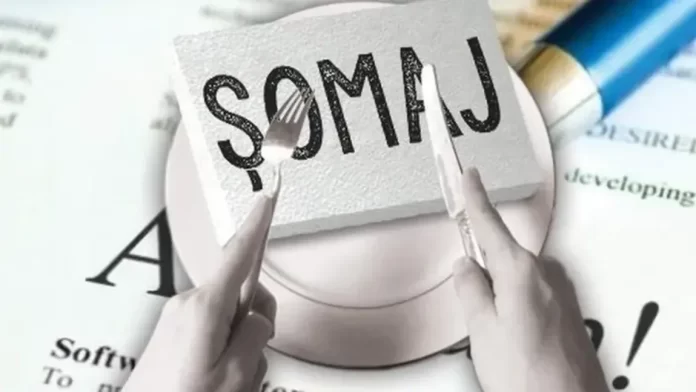 somaj-1 INS: 6,8% dintre români sunt șomeri. Aproape 30% dintre tineri