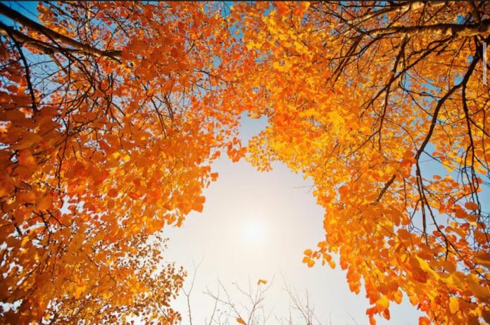 Prognoza meteo, 2 noiembrie. Vremea se menține frumoasă